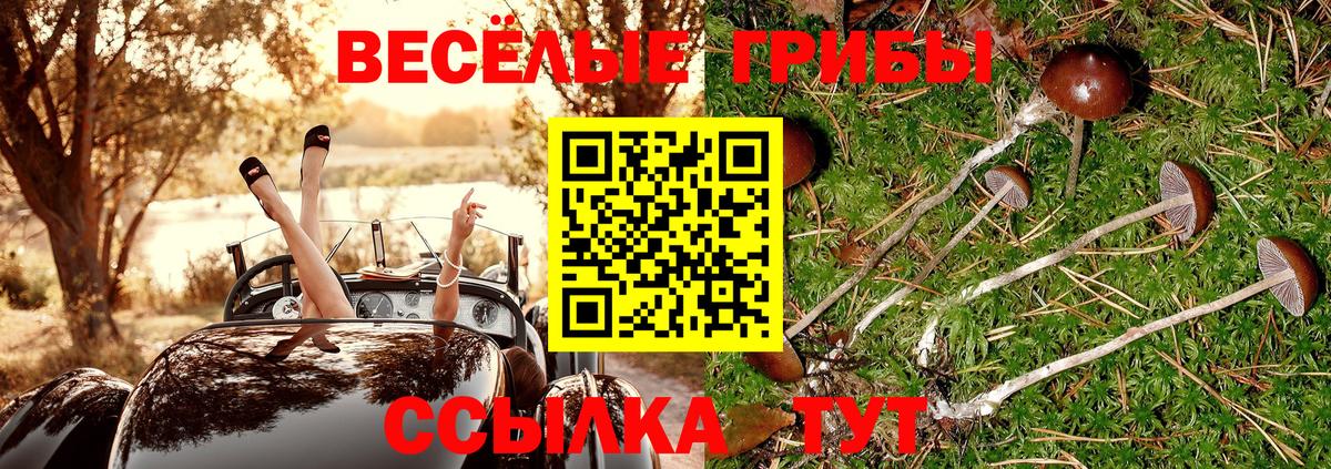 Кохма  Псилоцибиновые грибы ЛСД  Вход с VPN  Галлюциногенные грибы Psilocybine cubensis 