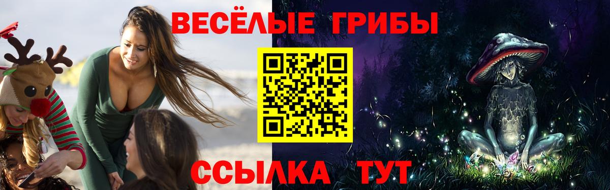 Галлюциногенные грибы MAGIC MUSHROOMS Кохма